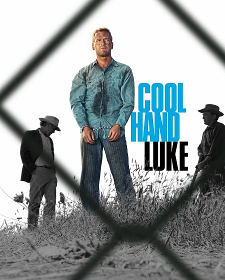مشاهدة فيلم Cool Hand Luke 1967 مترجم